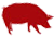 bbq-pig-icon