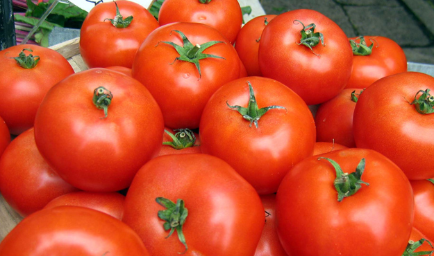 tomatoes3 tomatoes3